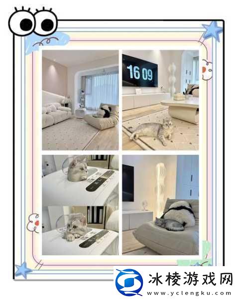 萌宠养成新体验一起来养猫下载即享乐趣无限！