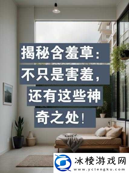 含羞草实验视秀恩爱：揭秘植物情感反应与人类爱情之间的奇妙联系