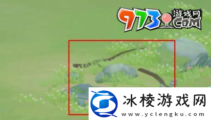 江湖悠悠宠物怎么领养宠物领养方法