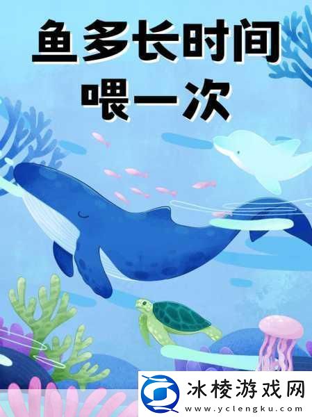 喂鱼狂潮席卷而来休闲时光新宠儿等你来体验！