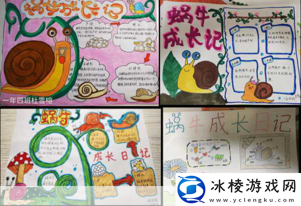 蜗牛回家-一场慢节奏的智慧之旅-等你来探索！