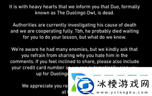 多邻国猫头鹰去世上热搜官方整活直接“整死”了网友纷纷热议