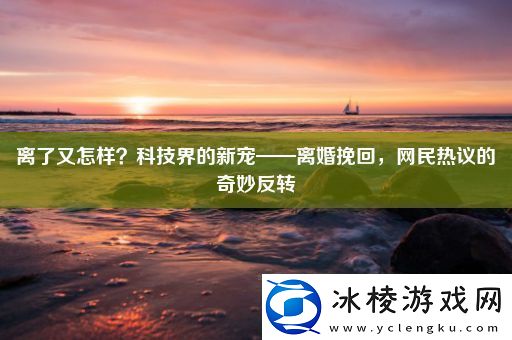 离了又怎样-科技界的新宠——离婚挽回-民热议的奇妙反转