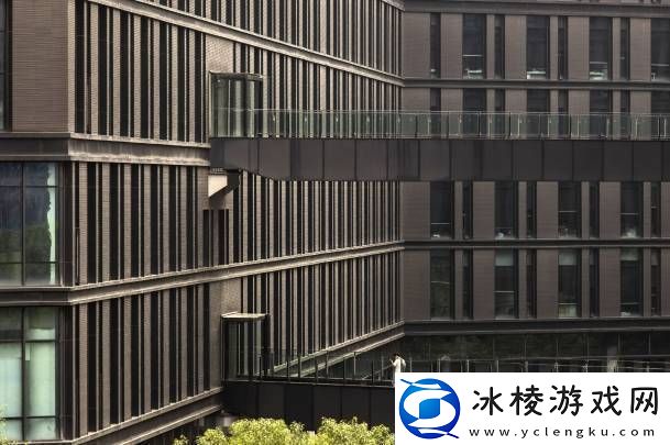 丁磊重掌易游戏