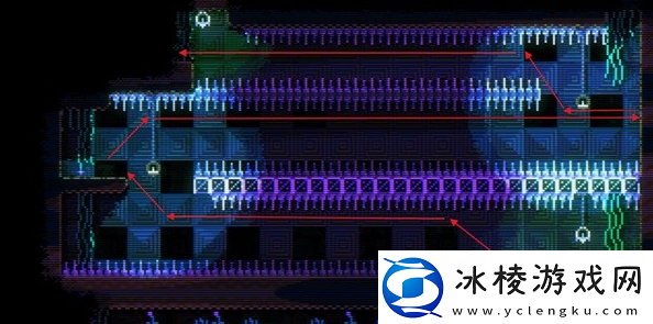 动物井刺兔收集位置