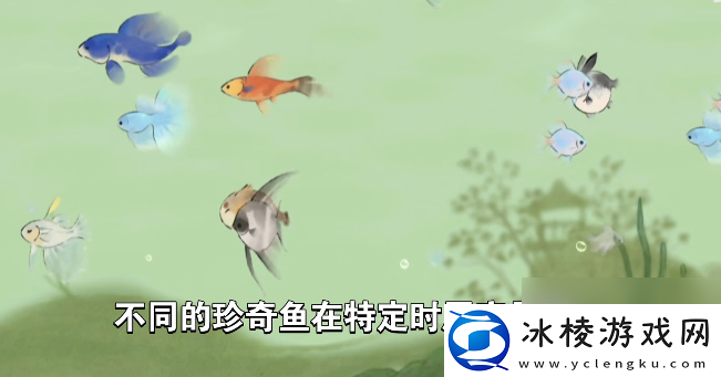 桃源深处有人家钓鱼最合适时机钓鱼时间