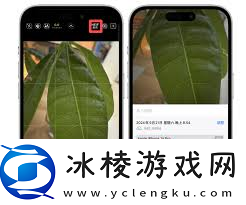 掌握苹果广角拍摄技巧