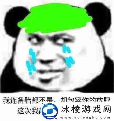 我连备胎都不是却包容你的放肆表情包