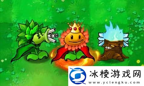 双影奇境2024年最新消息：全新玩法与角色揭晓-等你来探索！