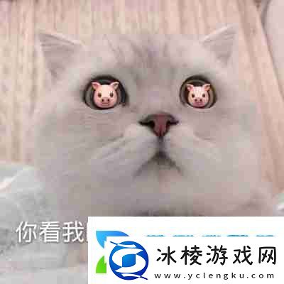 兜风吗妹妹表情包