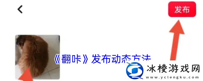翻咔怎么发动态-翻咔app发布动态方法