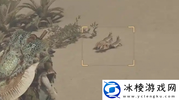 怪物猎人荒野全环境生物捕捉攻略