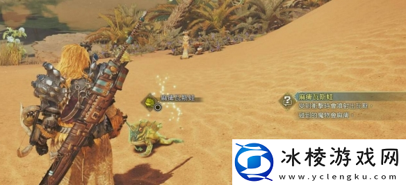 怪物猎人荒野全环境生物捕捉攻略