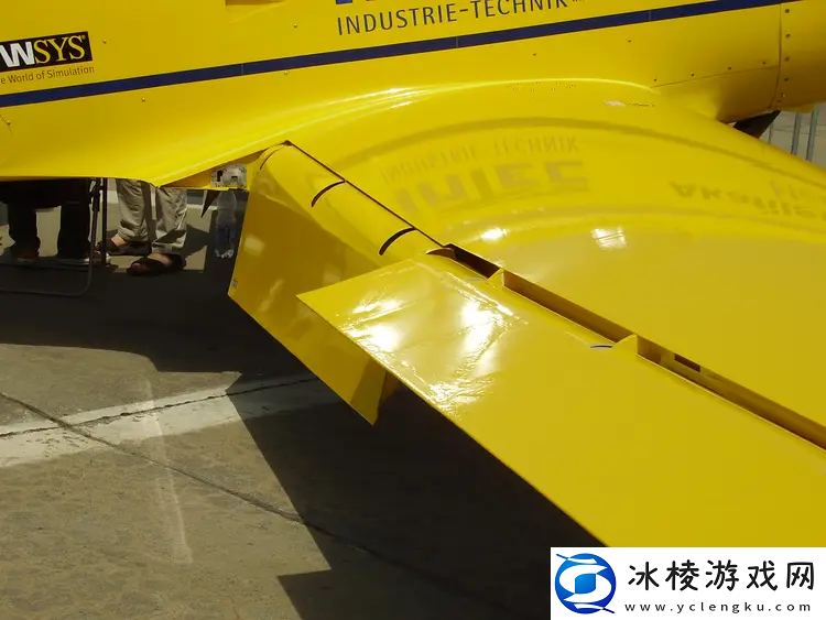 御风而行！下一代飞行器向鸟类借一双“翅膀”