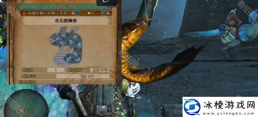 怪物猎人荒野钓鱼任务怎么做5个钓鱼任务攻略