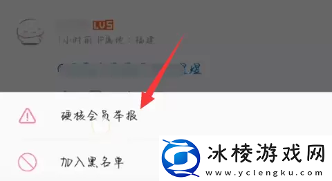 B站硬核会员功能介绍