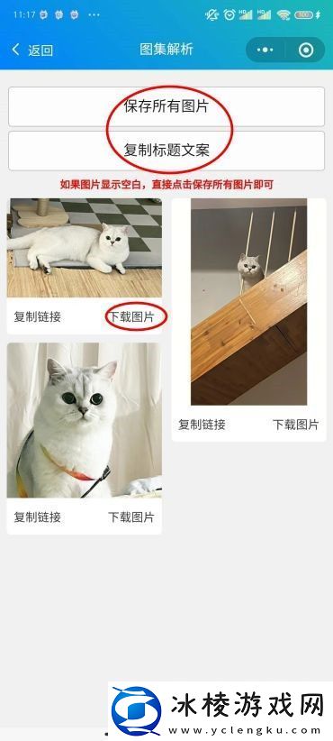 小红书图片无水印保存方法