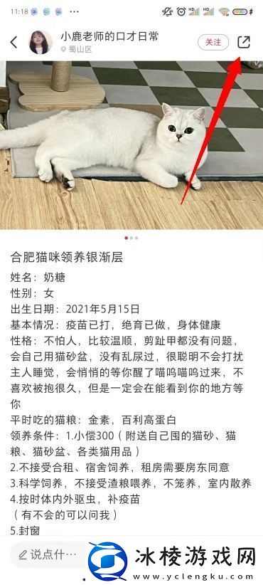 小红书图片无水印保存方法