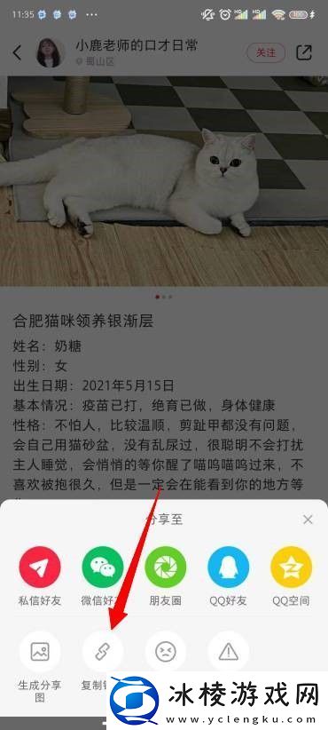 小红书图片无水印保存方法