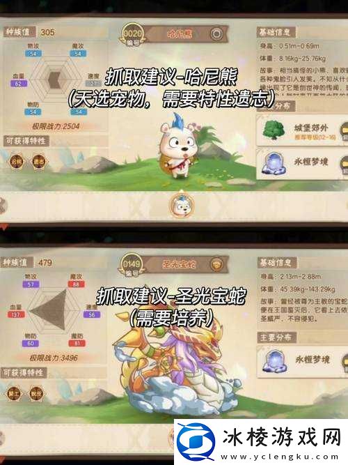 口袋重制定制精灵该如何挑选-揭秘定制精灵的最佳选择推荐！