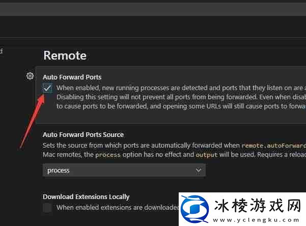 VSCode怎么开启自动转发端口