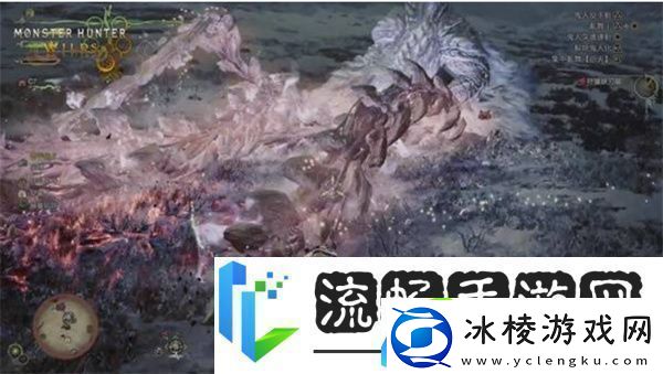 怪物猎人荒野测试版怪物弱点汇总