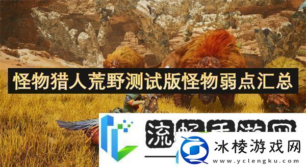 怪物猎人荒野测试版怪物弱点汇总
