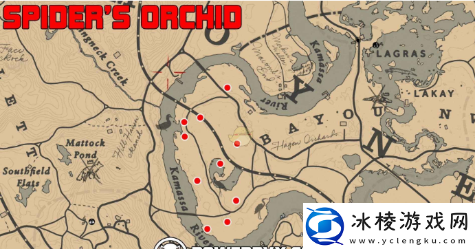 荒野大镖客2蜘蛛兰究竟藏在哪深度解析获取方法与神秘位置！