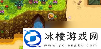 星露谷物语快速获取金核桃的方法