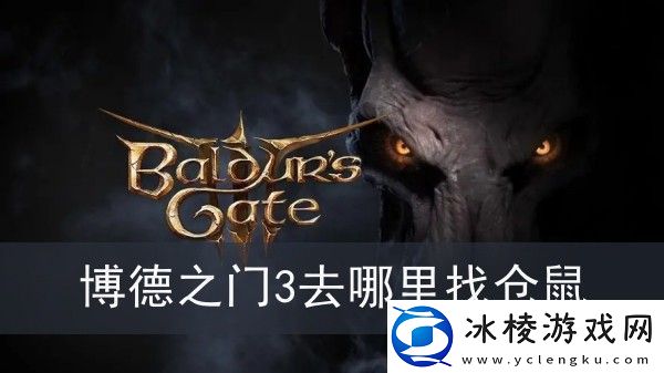 博德之门3去哪里找仓鼠-博德之门3仓鼠位置分享