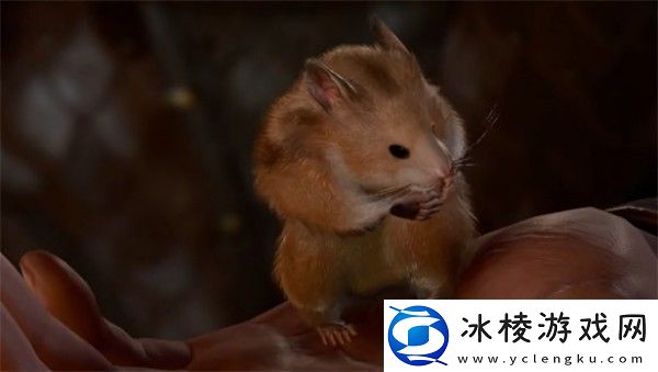 博德之门3去哪里找仓鼠