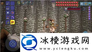 烟雨江湖佛学问题：从佛理的角度解读江湖中的道义与智慧