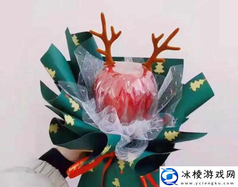 圣诞密码使用方法是什么