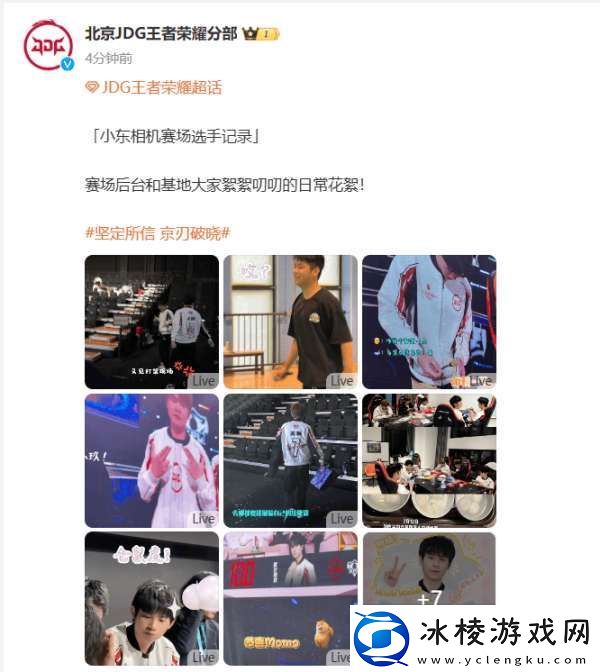 北京JDG发布日常