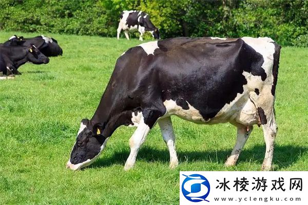 2024海龟汤题目和答案全套