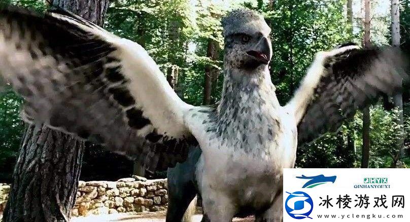 海格给巴克比克取了什么新名字