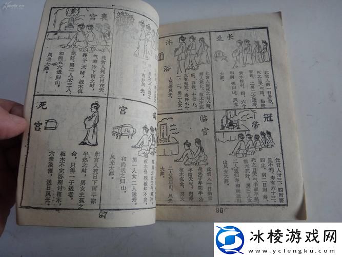 内容丰富人一禽一交一精一品网友：生活如此多彩