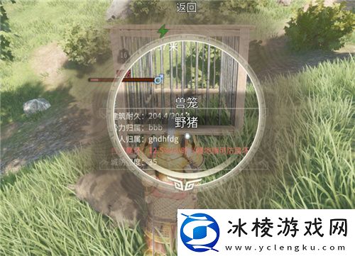 把家变成动物园