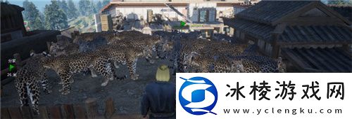 把家变成动物园