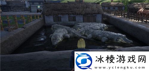 把家变成动物园