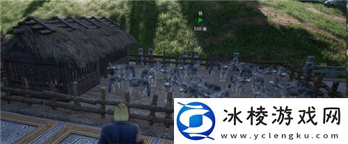 把家变成动物园