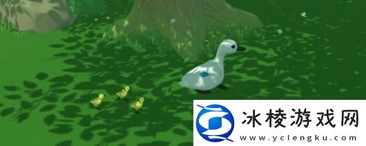 鸭鸭乐园游戏官网地址介绍