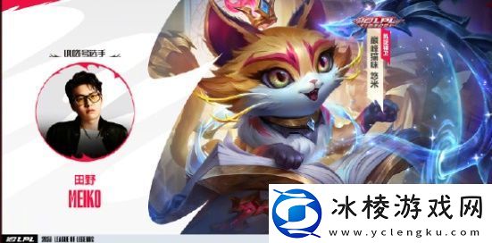 英雄联盟手游十周年有哪些臻彩皮肤