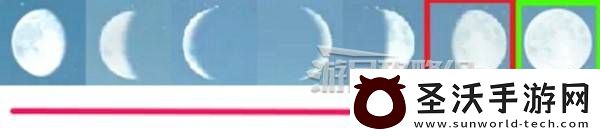 怪物猎人荒野一夜花的月华粉位置及获取途径一览