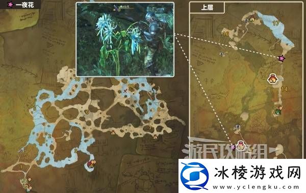 怪物猎人荒野一夜花的月华粉位置及获取途径一览