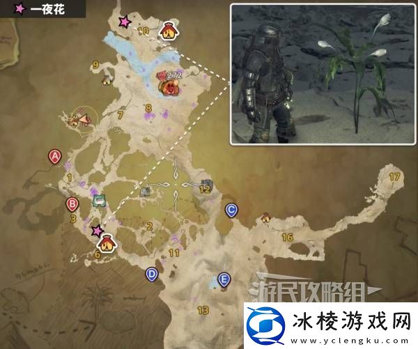 怪物猎人荒野一夜花的月华粉位置及获取途径一览