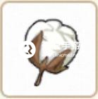 小森生活棉花怎么得小森生活棉花获得方法介绍