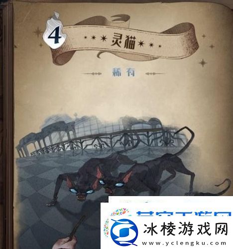 哈利波特魔法觉醒怎么白嫖卡片：彩蛋触发攻略