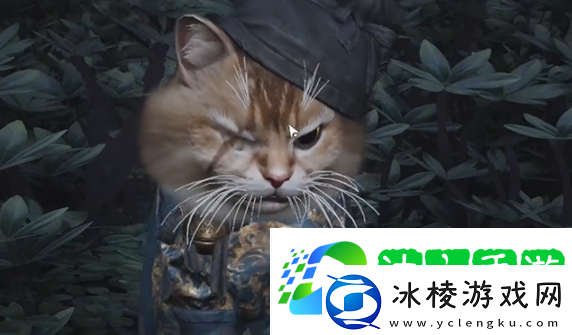 燕云十六声七阀坡猫咪在哪燕云十六声七阀坡猫戏全收集攻略