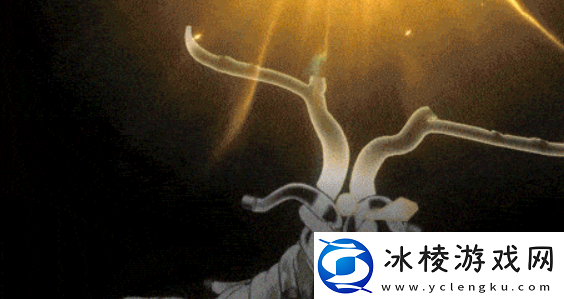 新月同行洞明强度介绍新月同行洞明怎么样